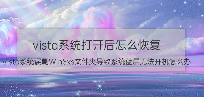 vista系统打开后怎么恢复 Vista系统误删WinSxs文件夹导致系统蓝屏无法开机怎么办？